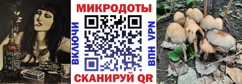 закладка  Коркино  Псилоцибиновые грибы GOLDEN TEACHER 