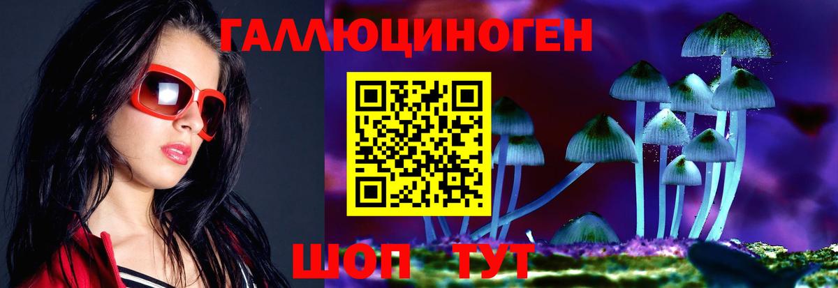 Галлюциногенные грибы GOLDEN TEACHER  даркнет сайт  Коркино 