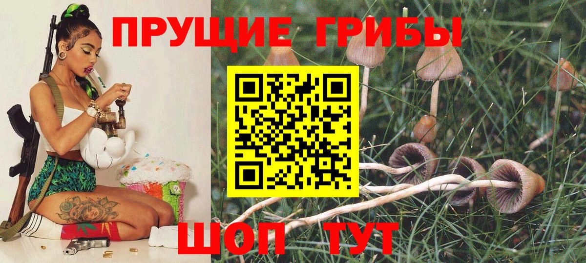 Псилоцибиновые грибы MAGIC MUSHROOMS Коркино